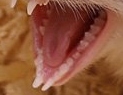 https://forum4.ru/uploads/0000/35/39/440563-1.jpg