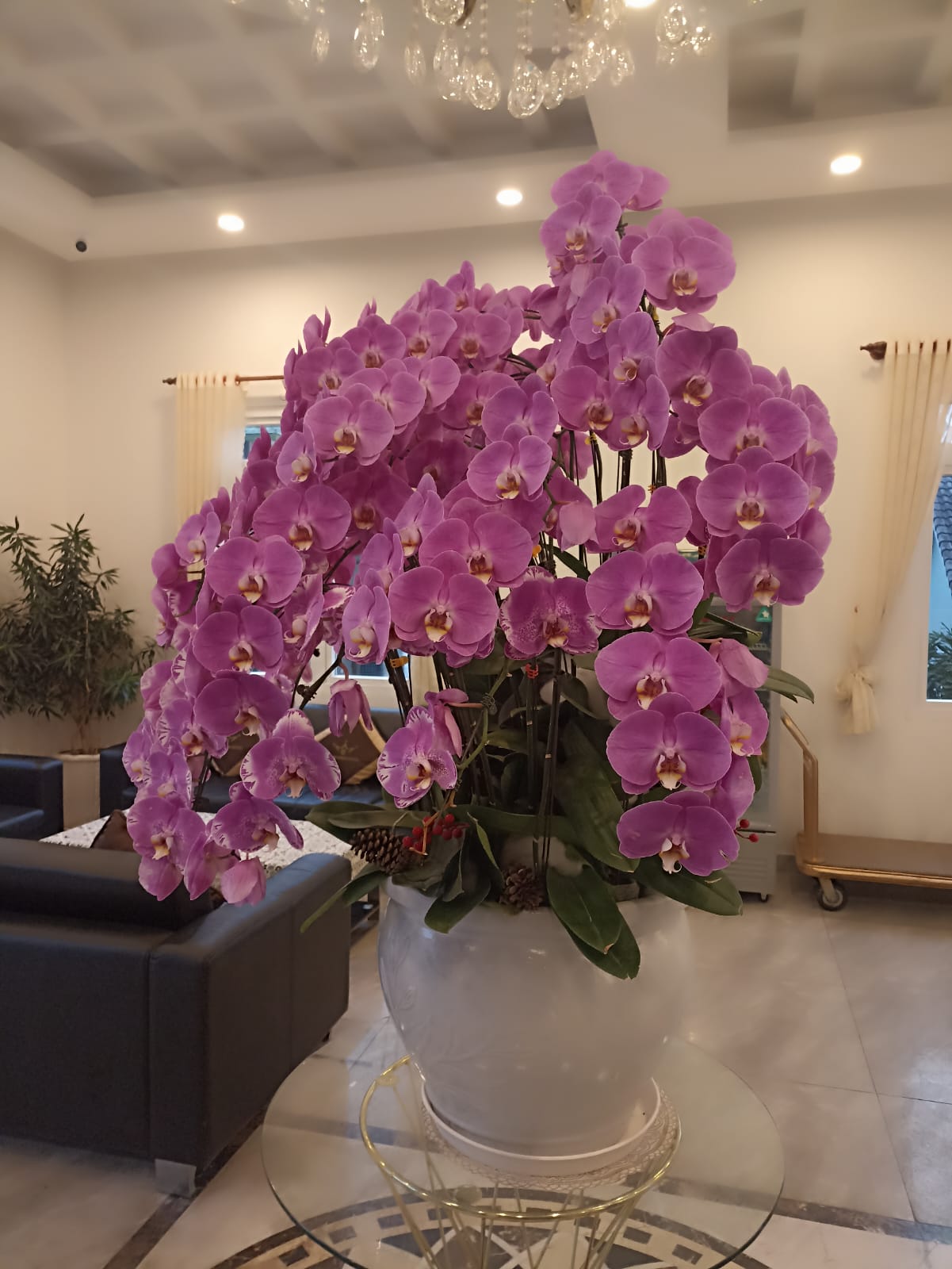 https://forum4.ru/uploads/0001/d0/60/4958/331582.jpg
