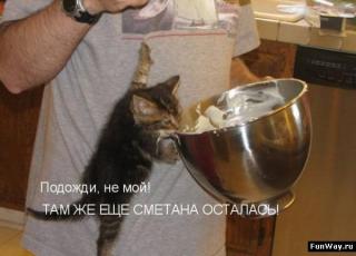 https://forum4.ru/uploads/0002/b2/b4/6346-1.jpg