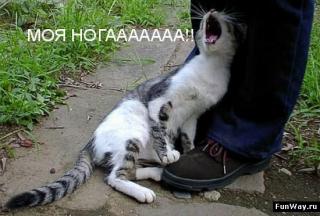 https://forum4.ru/uploads/0002/b2/b4/6346-2.jpg