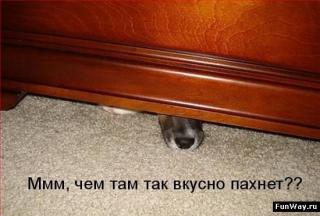https://forum4.ru/uploads/0002/b2/b4/6347-1.jpg
