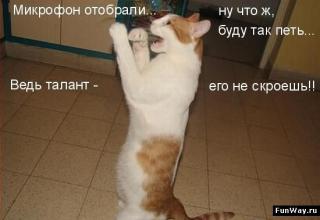 https://forum4.ru/uploads/0002/b2/b4/6347-4.jpg
