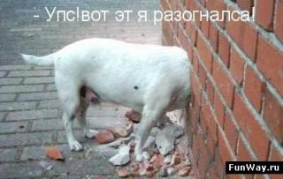 https://forum4.ru/uploads/0002/b2/b4/6347-5.jpg