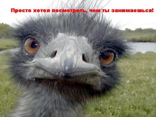 https://forum4.ru/uploads/0002/b2/b4/6537-1.jpg