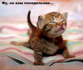 https://forum4.ru/uploads/0002/b2/b4/6537-5.jpg