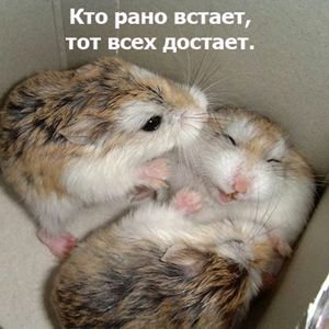 https://forum4.ru/uploads/0002/b2/b4/6551-3-f.jpg