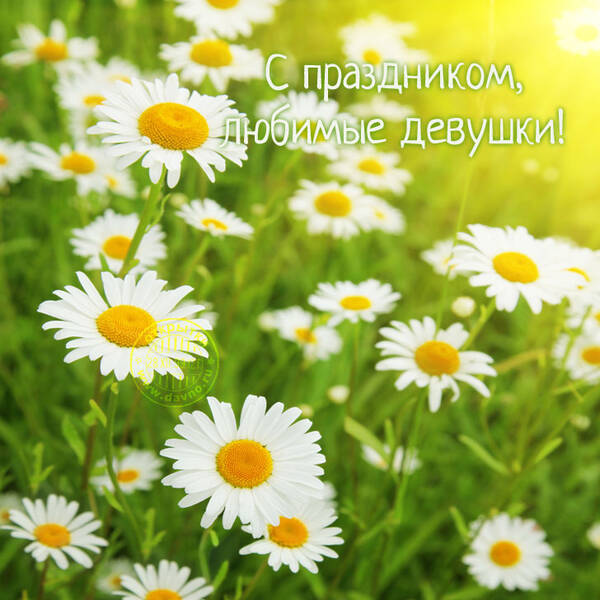 https://forum4.ru/uploads/0004/8b/ec/4060/t943758.jpg