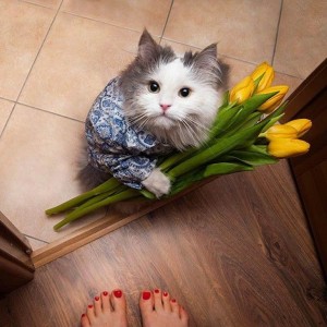 https://forum4.ru/uploads/0004/8b/ec/6011/t244267.jpg