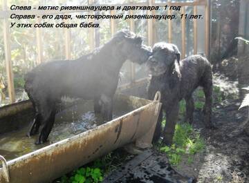 https://forum4.ru/uploads/0005/77/cb/1476/t828756.jpg