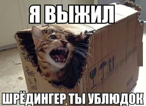 https://forum4.ru/uploads/0009/61/87/229/660273.jpg