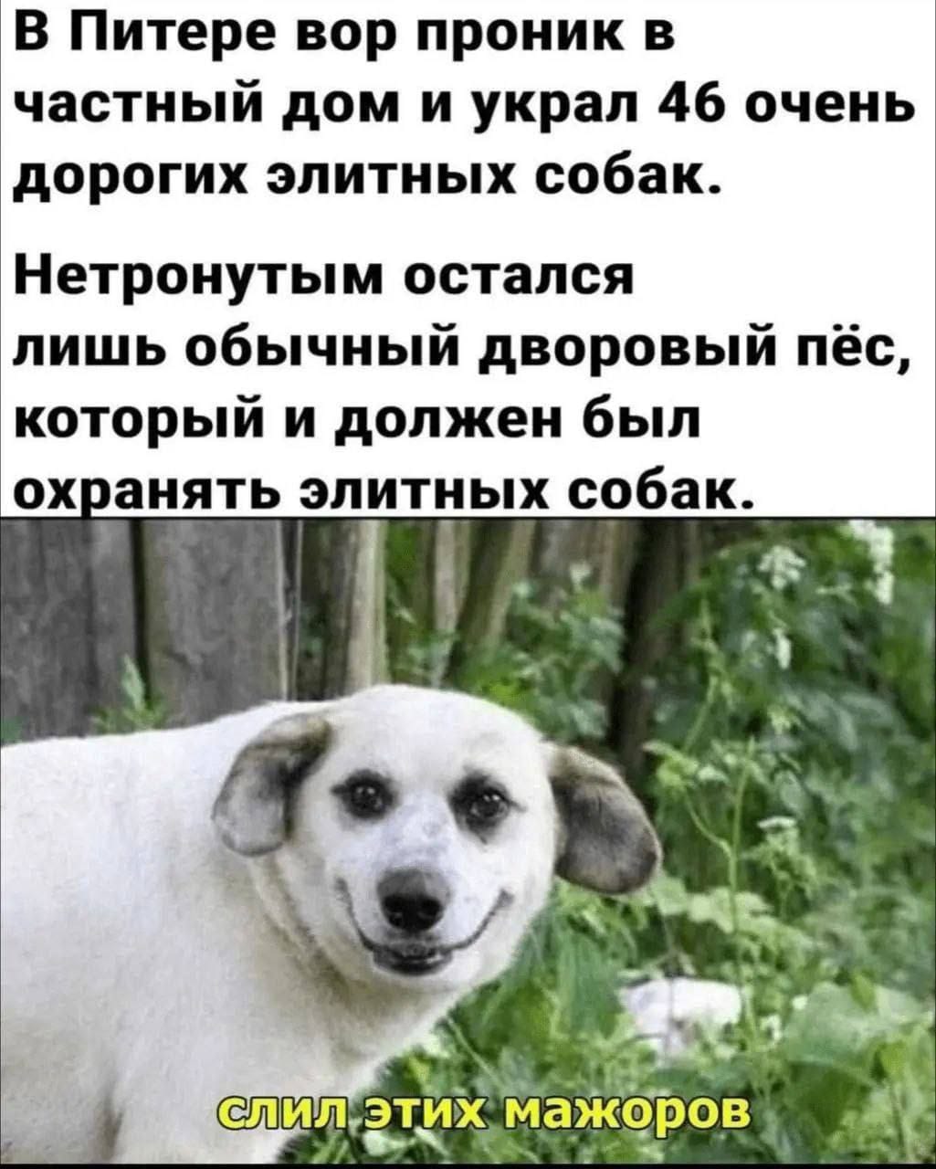 https://forum4.ru/uploads/000a/78/7a/526/642930.jpg