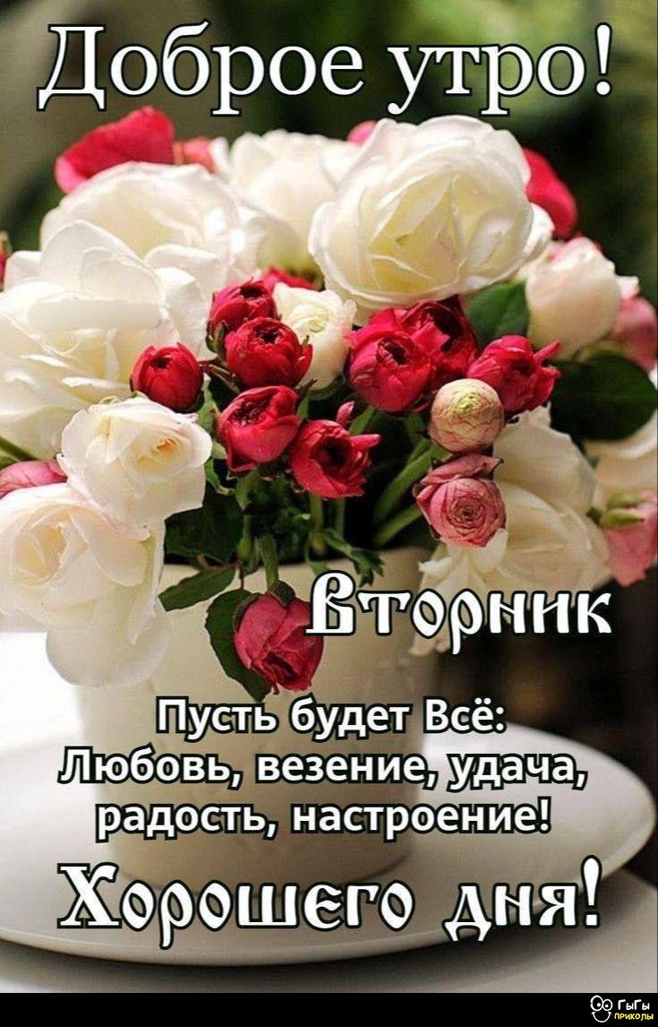 https://forum4.ru/uploads/000a/78/7a/526/77816.jpg