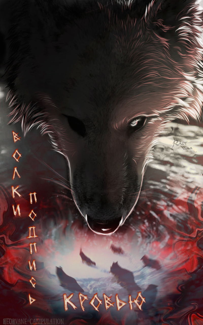 https://forum4.ru/uploads/000a/de/50/228/29095.png