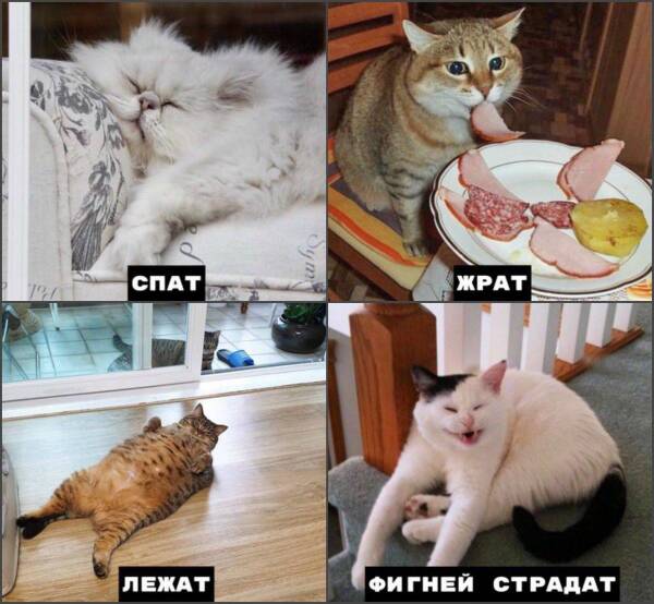 https://forum4.ru/uploads/000d/aa/a3/2/t633945.jpg