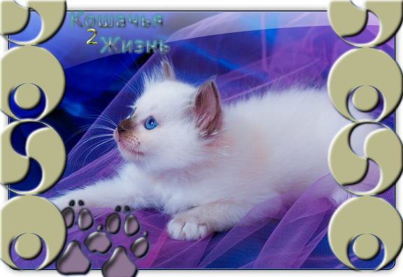 https://forum4.ru/uploads/000e/0c/d1/10-1-f.png