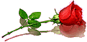 https://forum4.ru/uploads/000e/14/cc/134-5.gif