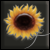 https://forum4.ru/uploads/000e/4d/84/72195-5.png