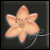 https://forum4.ru/uploads/000e/4d/84/72199-1.png