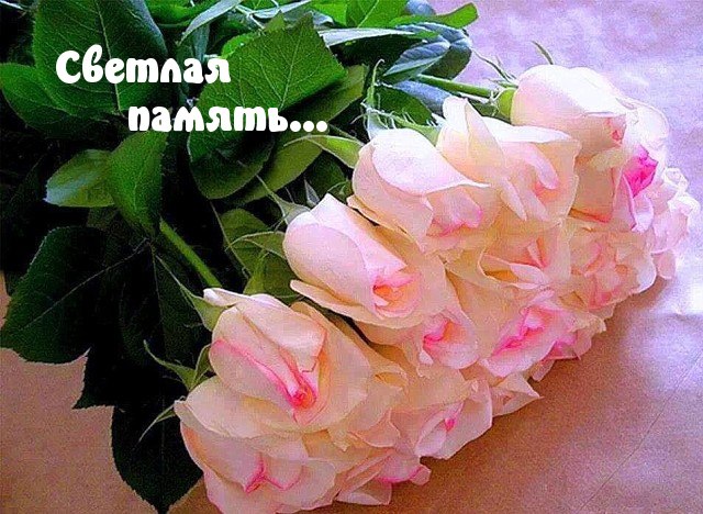 https://forum4.ru/uploads/000e/81/4f/2/468081.jpg