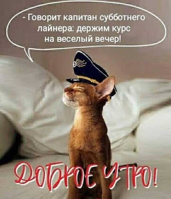 https://forum4.ru/uploads/000e/ad/4d/30700/t479557.jpg