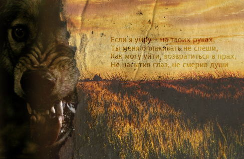 https://forum4.ru/uploads/000f/41/de/8319-1-f.png