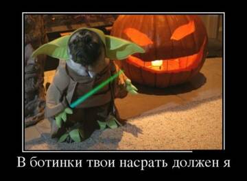 https://forum4.ru/uploads/0010/0e/16/2/t366446.jpg