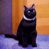 https://forum4.ru/uploads/0010/7e/dd/2/183586.gif