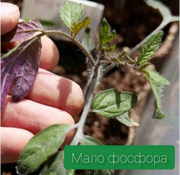 https://forum4.ru/uploads/0012/15/01/650/t355134.jpg