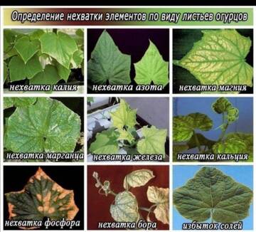https://forum4.ru/uploads/0012/15/01/650/t536717.jpg