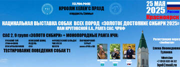 https://forum4.ru/uploads/0013/1b/57/111/t131628.jpg