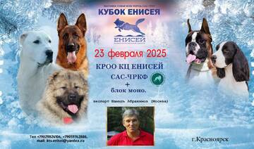 https://forum4.ru/uploads/0013/1b/57/137/t696585.jpg