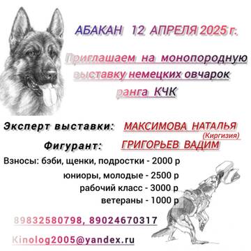 https://forum4.ru/uploads/0013/1b/57/148/t845572.jpg