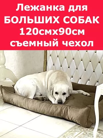 https://forum4.ru/uploads/0013/1b/57/154/t214057.webp
