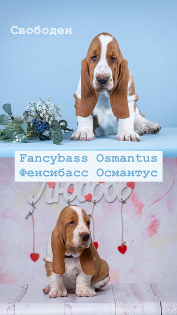 https://forum4.ru/uploads/0013/1b/57/165/t37386.jpg
