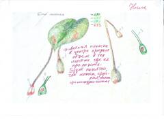 https://forum4.ru/uploads/0017/37/10/4/t842905.jpg