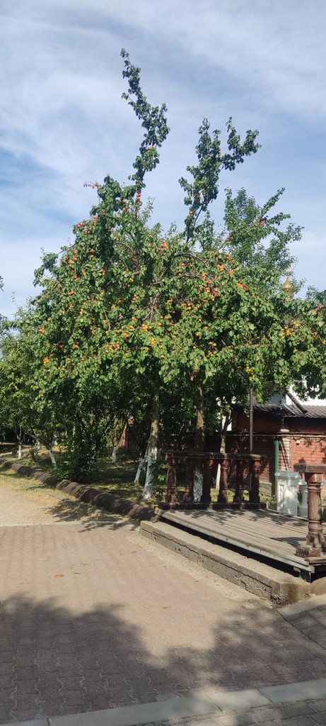 https://forum4.ru/uploads/0017/d2/91/173/831513.jpg