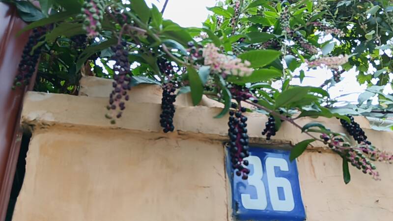 https://forum4.ru/uploads/0017/d2/91/28/416793.jpg