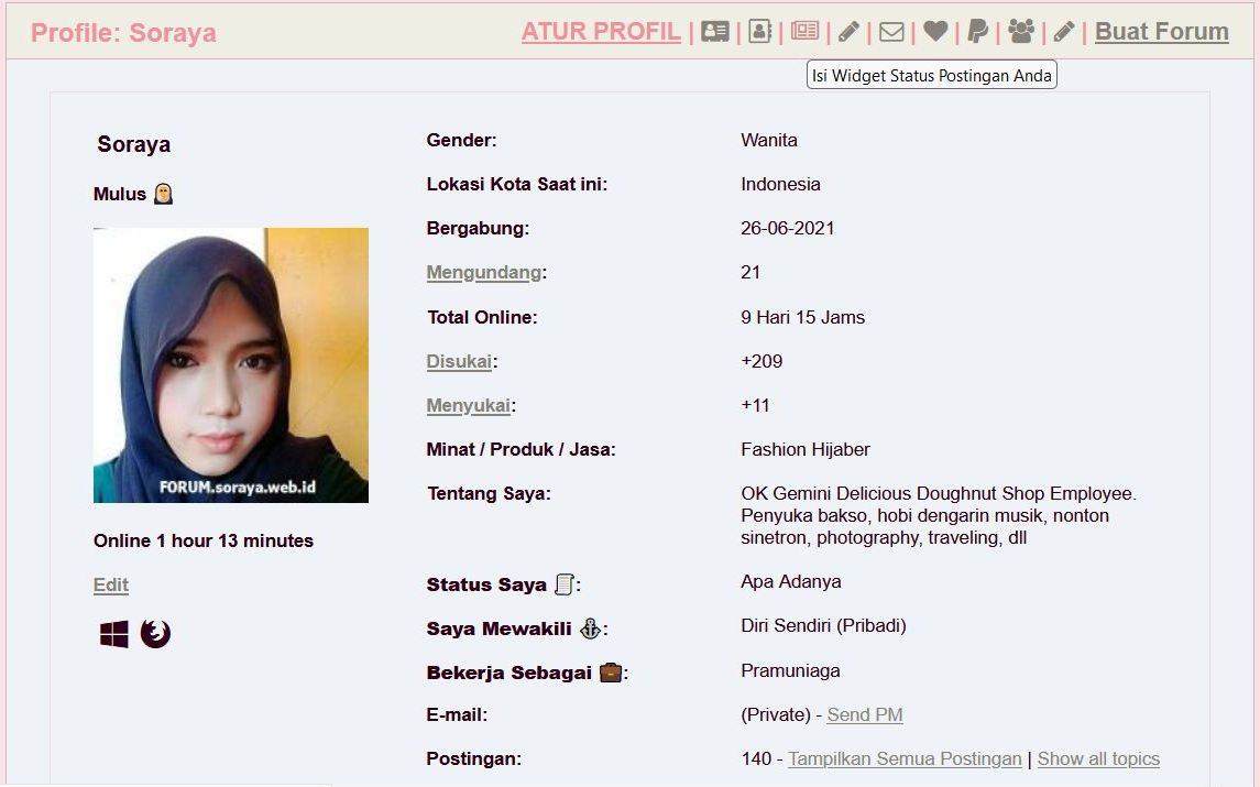 gambar plugin widget profile soraya di Dekstop