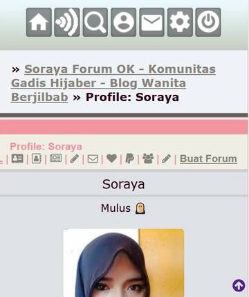 gambar plugin widget menu profile soraya di handphone