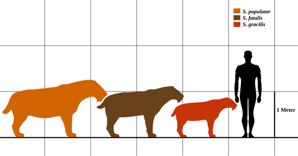 https://forum4.ru/uploads/0018/76/8e/3/t943072.png