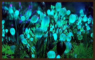 https://forum4.ru/uploads/0018/e2/2e/2/264919.png