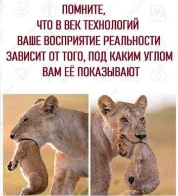 https://forum4.ru/uploads/0018/e4/74/4/t69558.jpg