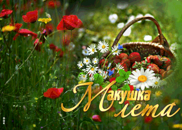 https://forum4.ru/uploads/0019/3a/78/198/t429946.gif