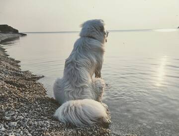 https://forum4.ru/uploads/0019/3a/78/29/t194287.jpg