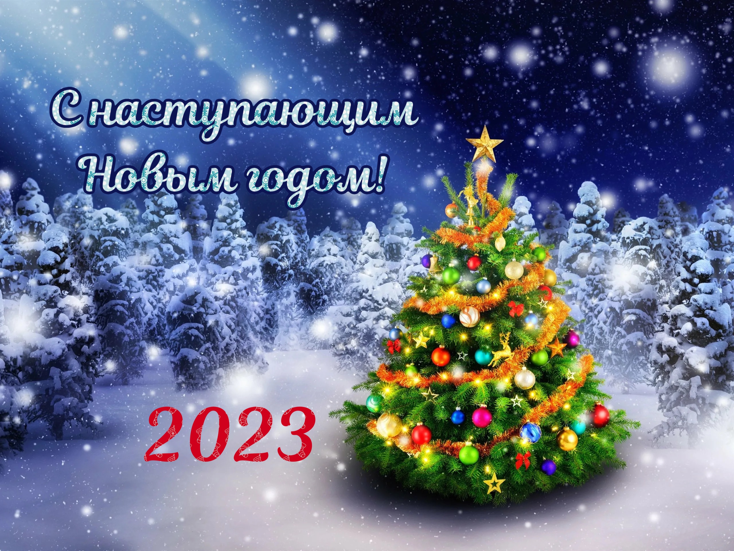 https://forum4.ru/uploads/0019/3c/8c/3/176371.jpg