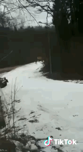 https://forum4.ru/uploads/0019/73/8e/324/66338.gif