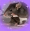 https://forum4.ru/uploads/0019/a4/9b/6/540759.png