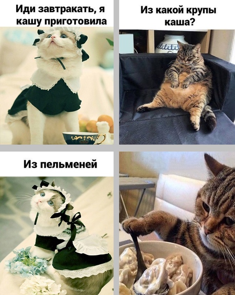 https://forum4.ru/uploads/0019/c7/e0/311/t319657.jpg