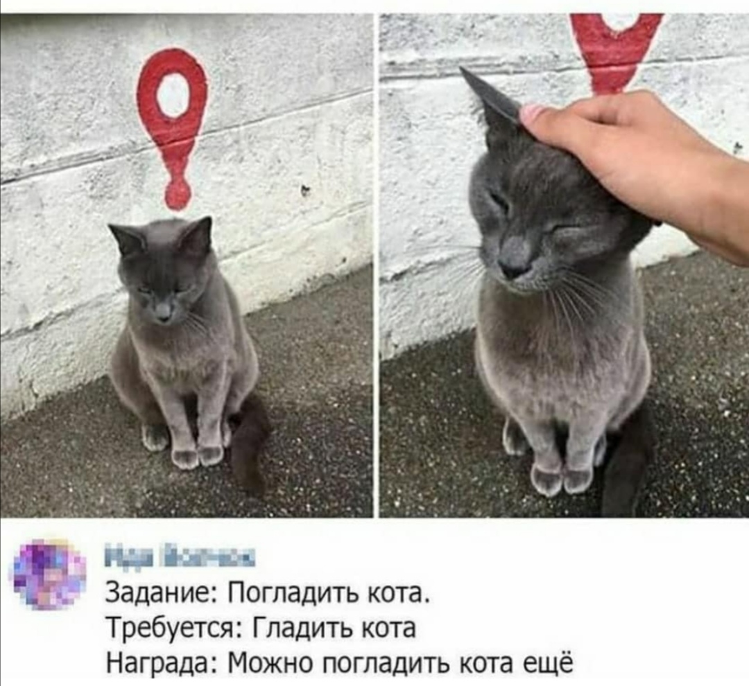 https://forum4.ru/uploads/0019/c7/e0/89/515145.jpg