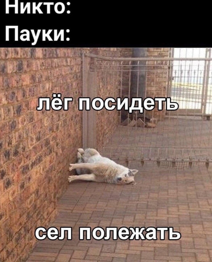 https://forum4.ru/uploads/0019/c7/e0/89/606783.jpg